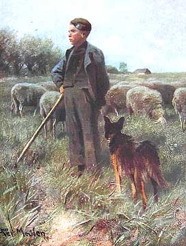 YoungShepherdFrancoisPieter.jpg