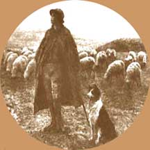 shepherd_dog_with_sheep.jpg