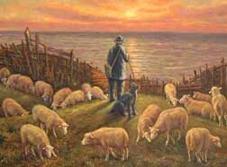 sheep_sunset.jpg