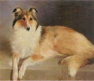 Colliepainting.jpg