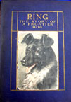 Ring1921.jpg