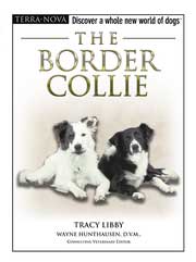 TheBorderCollieTracyLibby.jpg