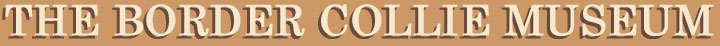 BorderCollieMuseumLogo7.jpg