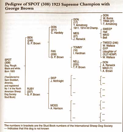 SpotPedigree.jpg