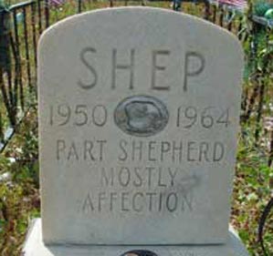 Shep3Broomfield.jpg