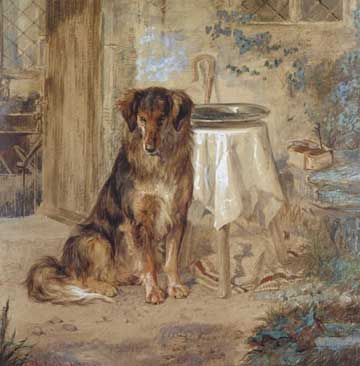 The-Elder's-Collie.jpg