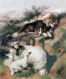 TwinsLandseer.jpg