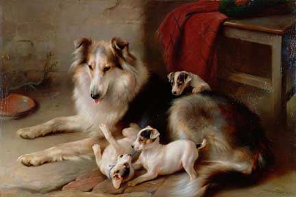 CollieWithFoxTerrierPups.jpg