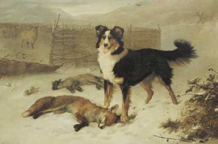 collie and lamb in snow painting